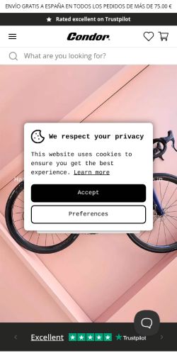 Screenshot of the audited page (Mobile 375×812)