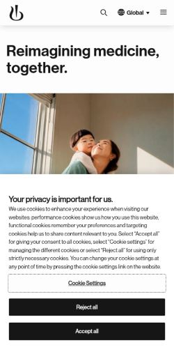 Screenshot of the audited page (Mobile 375×812)