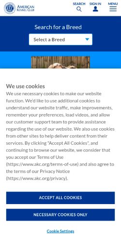 Screenshot of the audited page (Mobile 375×812)