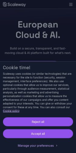 Screenshot of the audited page (Mobile 375×812)