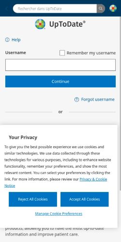 Screenshot of the audited page (Mobile 375×812)