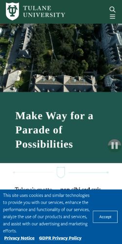 Screenshot of the audited page (Mobile 375×812)