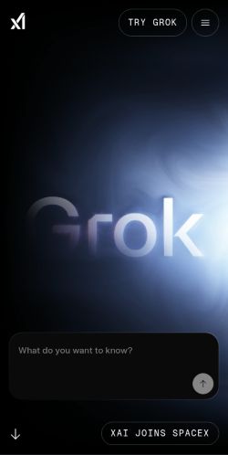 Screenshot of the audited page (Mobile 375×812)