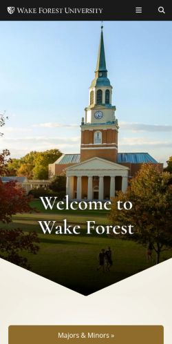 Screenshot of the audited page (Mobile 375×812)