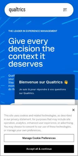 Screenshot of the audited page (Mobile 375×812)