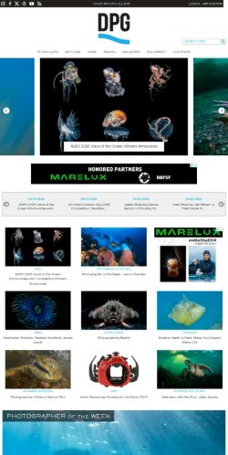 Screenshot of the audited page (Mobile 375×812)