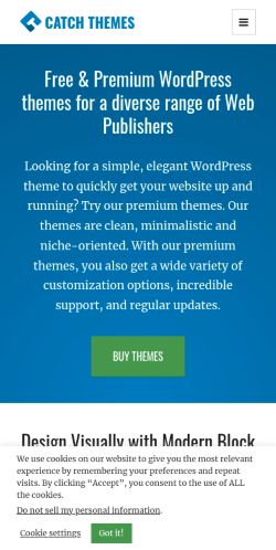 Screenshot of the audited page (Mobile 375×812)