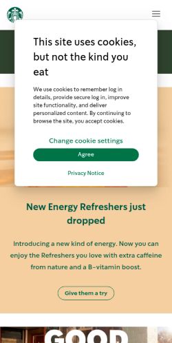 Screenshot of the audited page (Mobile 375×812)
