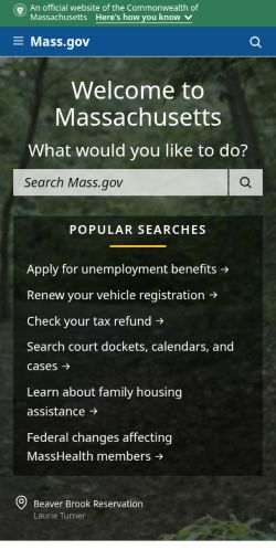 Screenshot of the audited page (Mobile 375×812)