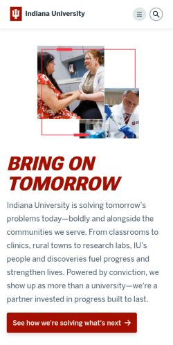 Screenshot of the audited page (Mobile 375×812)