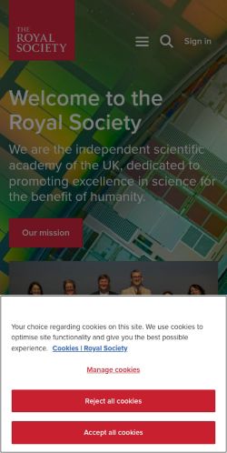 Screenshot of the audited page (Mobile 375×812)