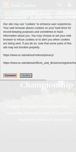 Screenshot of the audited page (Mobile 375×812)