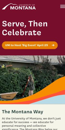 Screenshot of the audited page (Mobile 375×812)