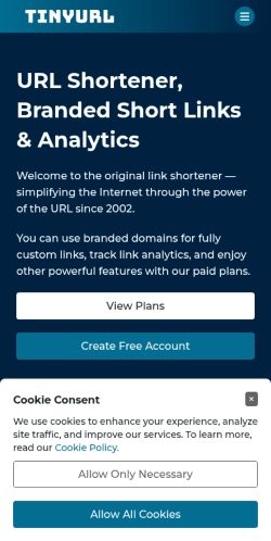 Screenshot of the audited page (Mobile 375×812)