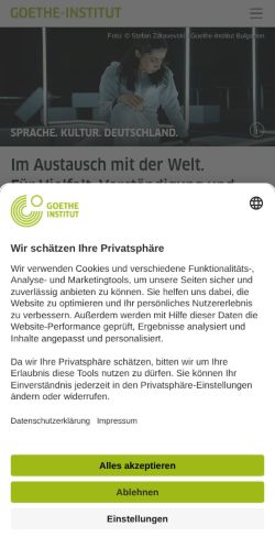 Screenshot of the audited page (Mobile 375×812)
