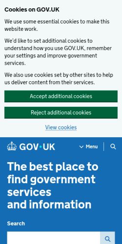 Screenshot of the audited page (Mobile 375×812)