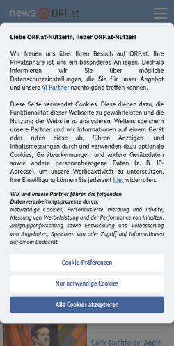 Screenshot of the audited page (Mobile 375×812)