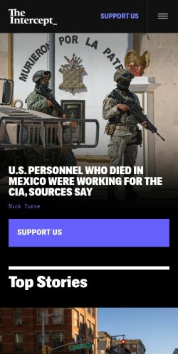 Screenshot of the audited page (Mobile 375×812)