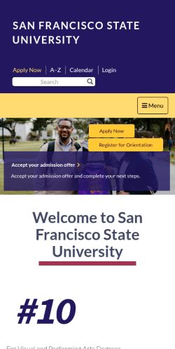 Screenshot of the audited page (Mobile 375×812)