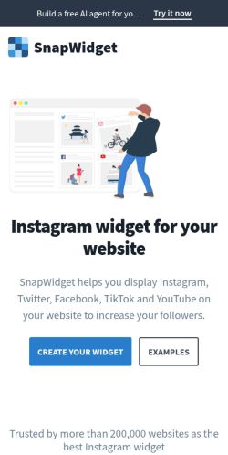 Screenshot of the audited page (Mobile 375×812)