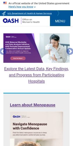 Screenshot of the audited page (Mobile 375×812)