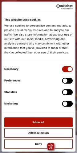 Screenshot of the audited page (Mobile 375×812)