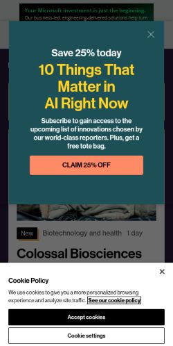 Screenshot of the audited page (Mobile 375×812)