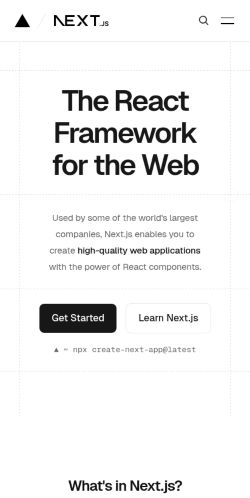 Screenshot of the audited page (Mobile 375×812)