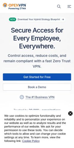 Screenshot of the audited page (Mobile 375×812)