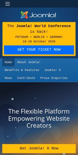 Screenshot of the audited page (Mobile 375×812)