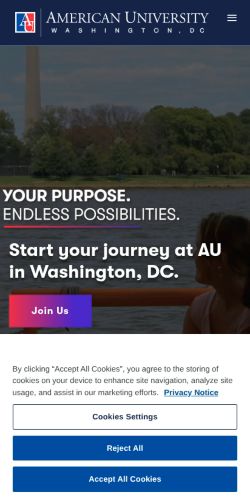 Screenshot of the audited page (Mobile 375×812)
