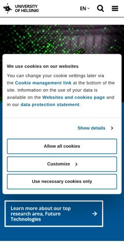 Screenshot of the audited page (Mobile 375×812)