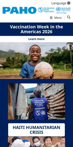 Screenshot of the audited page (Mobile 375×812)