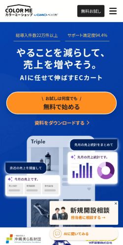 Screenshot of the audited page (Mobile 375×812)