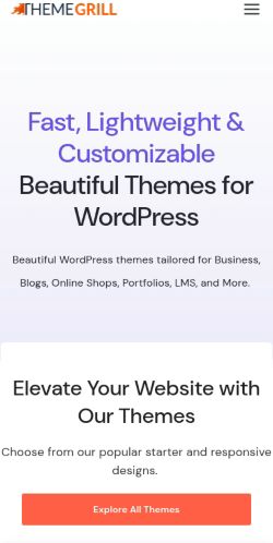 Screenshot of the audited page (Mobile 375×812)
