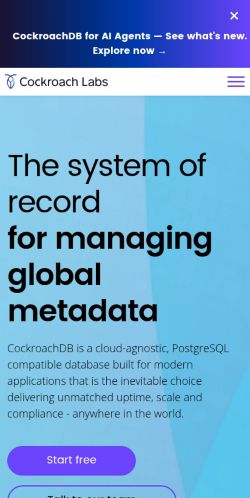 Screenshot of the audited page (Mobile 375×812)