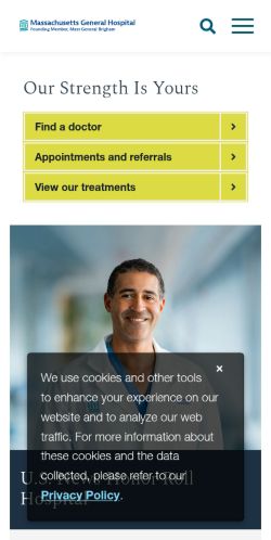 Screenshot of the audited page (Mobile 375×812)