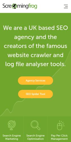 Screenshot of the audited page (Mobile 375×812)