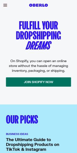 Screenshot of the audited page (Mobile 375×812)