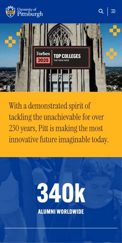 Screenshot of the audited page (Mobile 375×812)