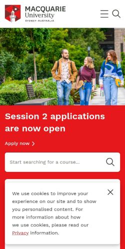 Screenshot of the audited page (Mobile 375×812)
