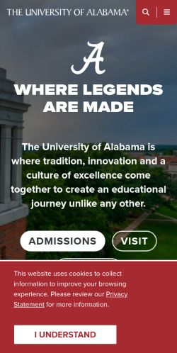 Screenshot of the audited page (Mobile 375×812)