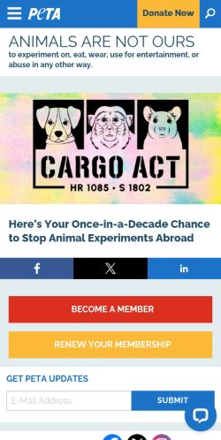 Screenshot of the audited page (Mobile 375×812)