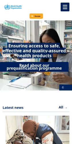 Screenshot of the audited page (Mobile 375×812)