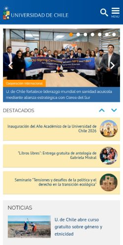 Screenshot of the audited page (Mobile 375×812)