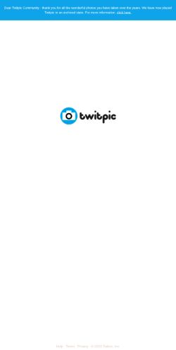 Screenshot of the audited page (Mobile 375×812)