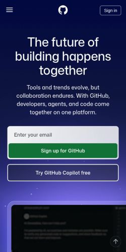 Screenshot of the audited page (Mobile 375×812)