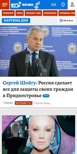 Screenshot of the audited page (Mobile 375×812)