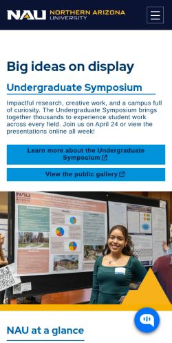 Screenshot of the audited page (Mobile 375×812)