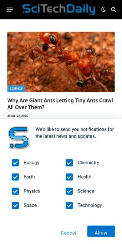 Screenshot of the audited page (Mobile 375×812)
